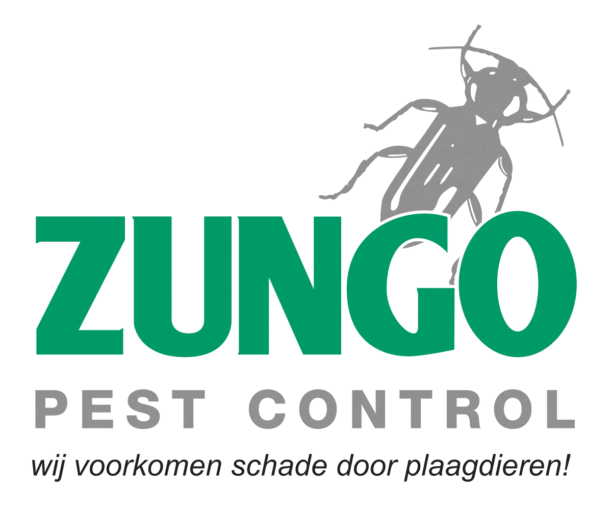 zungo